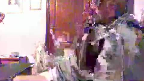 plu07f3520 online show from 04/09/26, 12:43