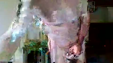 Snapshot of pluchet chatting on 05/07/26, 04:56 pluchet online show from 05/07/26, 04:56