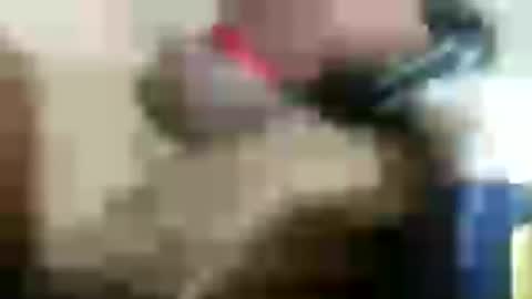 Snapshot of plug768785628 chatting on 07/18/26, 03:38 plug768785628 online show from 07/18/26, 03:38