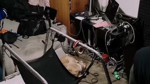 Snapshot of pnp385763 chatting on 10/19/25, 01:23 Pup Seth online show from 10/19/25, 01:23