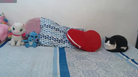 Snapshot of pocahontas_princess__ chatting on 10/29/25, 04:20 Pocahontas online show from 10/29/25, 04:20