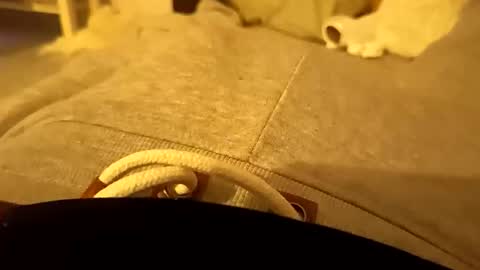 Snapshot of pollontf chatting on 03/02/26, 01:41 pollontf online show from 03/02/26, 01:41