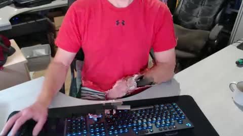 Snapshot of poodledude chatting on 10/29/25, 11:23 Dave online show from 10/29/25, 11:23