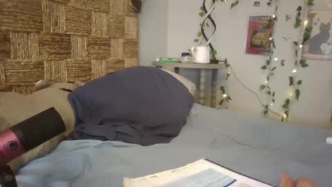 Snapshot of pooncahantits chatting on 02/17/25, 03:31 Emily at Home online show from 02/17/25, 03:31