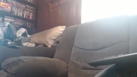 Snapshot of porkingit400 chatting on 02/14/25, 05:14 porkingit400 online show from 02/14/25, 05:14