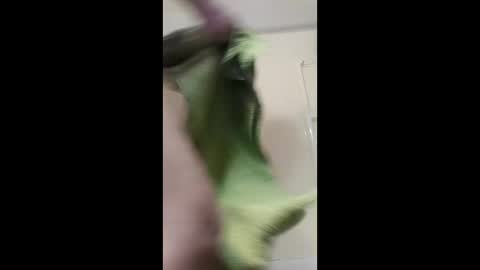 Snapshot of potsymcstoner chatting on 01/12/26, 10:20 potsymcstoner online show from 01/12/26, 10:20