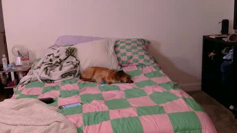 Snapshot of pppawg chatting on 10/19/25, 06:03 PAWG Pale Princess online show from 10/19/25, 06:03