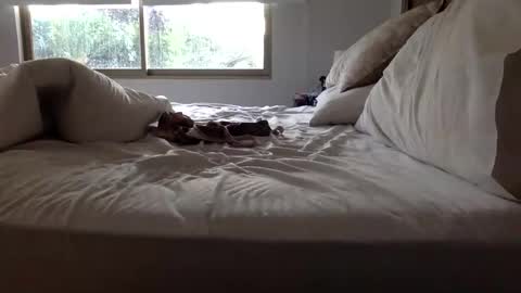 ppsmall_17 online show from 03/27/26, 11:10