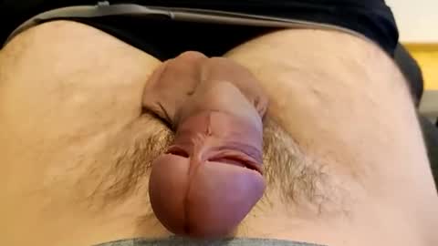 precummilker online show from 12/13/24, 08:58