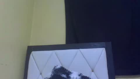 lynn online show from 02/27/26, 07:14