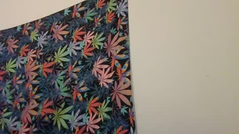 Snapshot of presidentialbryana chatting on 01/19/25, 06:09 Libra Lamont online show from 01/19/25, 06:09