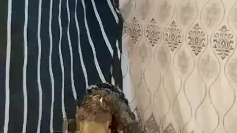 Snapshot of pretty705007 chatting on 03/21/26, 12:26 pretty705007 online show from 03/21/26, 12:26