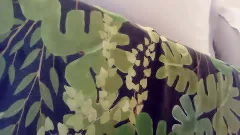 Snapshot of pretty_boy_jack chatting on 01/08/25, 01:00 pretty_boy_jack online show from 01/08/25, 01:00