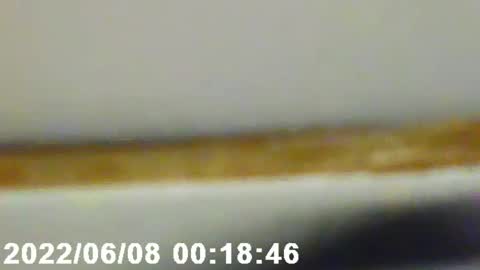 Snapshot of pretty_boy_jack chatting on 02/12/25, 02:56 pretty_boy_jack online show from 02/12/25, 02:56