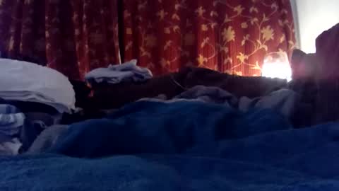 Snapshot of pretty_boy_jack chatting on 02/25/25, 06:03 pretty_boy_jack online show from 02/25/25, 06:03