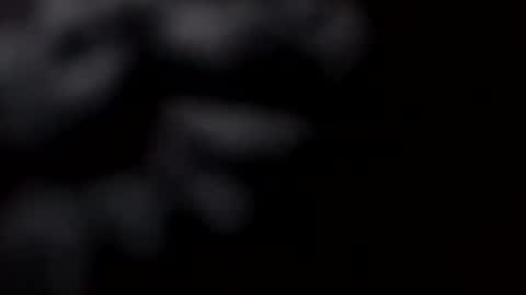 Snapshot of pretty_boy_jack chatting on 02/28/25, 10:52 pretty_boy_jack online show from 02/28/25, 10:52