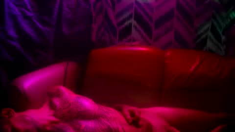 Prettyslangin69 FYPM online show from 11/24/25, 05:12