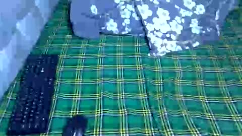 Prettiesexxy online show from 04/28/26, 02:33