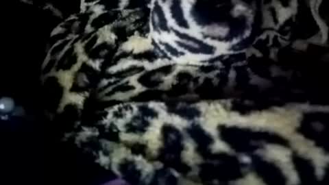 Snapshot of prettyimaa chatting on 01/21/25, 08:19 prettyma online show from 01/21/25, 08:19