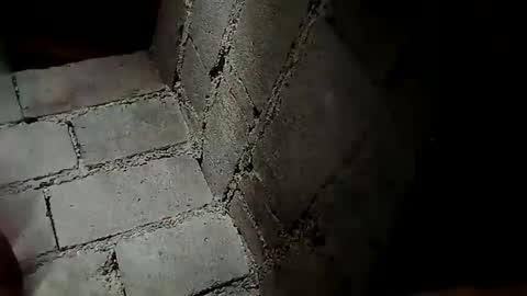 Snapshot of prettyneca5991 chatting on 12/19/24, 11:57 prettyneca5991 online show from 12/19/24, 11:57