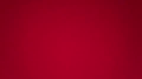 pricilaa online show from 04/14/26, 11:00