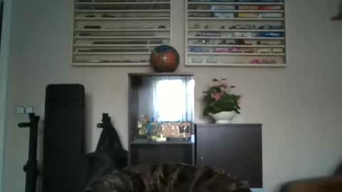 Snapshot of prince__13 chatting on 02/25/26, 10:03 Don online show from 02/25/26, 10:03