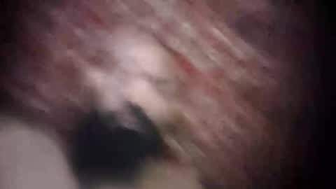 Snapshot of princeabdawal chatting on 11/03/25, 05:36 princeabdawal online show from 11/03/25, 05:36