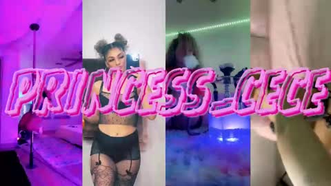 Cece  NEXT LIVESTREAM -- DEC. 4th  7 PM CST online show from 02/12/25, 12:58