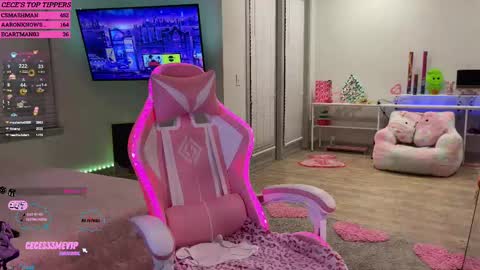 Cece  NEXT LIVESTREAM -- DEC. 4th  7 PM CST online show from 02/12/25, 04:01