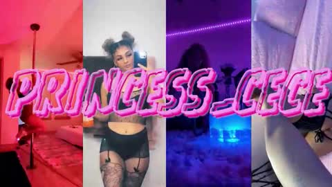 Snapshot of princess_cece chatting on 02/27/26, 09:04 Cece NEXT LIVESTREAM -- DEC. 4th 7 PM CST online show from 02/27/26, 09:04