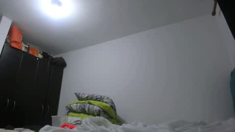 Snapshot of priscilasmiith25 chatting on 02/24/25, 04:27 PriscilaSmiith online show from 02/24/25, 04:27