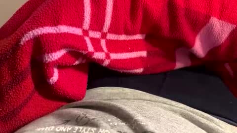 Snapshot of privat2025 chatting on 02/01/26, 08:29 privat2025 online show from 02/01/26, 08:29