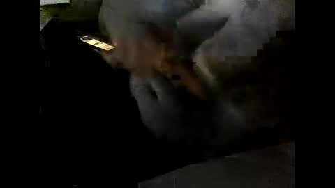 Snapshot of problm666 chatting on 12/02/25, 06:03 Clothingoptional online show from 12/02/25, 06:03