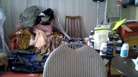 projectorepson online show from 06/21/26, 04:20
