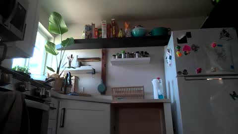 Properfuct online show from 11/03/25, 08:43