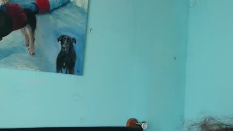 prxscillia_tx online show from 11/06/25, 01:45