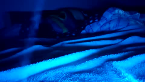 ptut82 online show from 02/15/26, 09:41