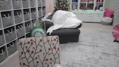 Puggie -  online show from 12/14/24, 11:01