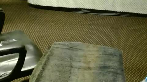 Snapshot of punkypapi chatting on 11/25/25, 08:42 Jojo online show from 11/25/25, 08:42