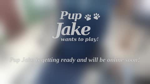 Snapshot of pup_jake chatting on 01/05/25, 12:53 Pup Jake wants to play online show from 01/05/25, 12:53