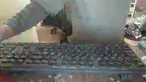 pup_y online show from 12/14/25, 06:56