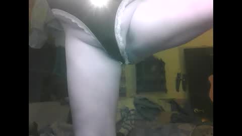 puss123176428 online show from 12/16/24, 10:13