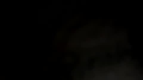 puss123176428 online show from 12/26/24, 11:13