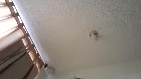 pussy_happy0 online show from 12/03/24, 07:55