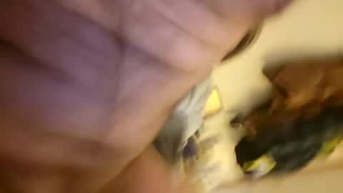 pussylike696969 online show from 12/06/24, 09:21