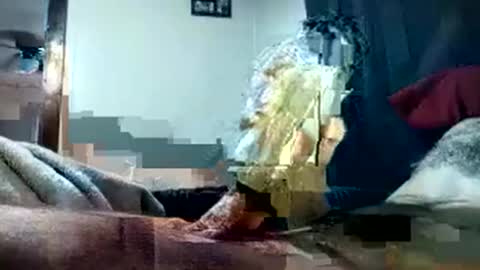 Snapshot of pussyluver420kik909587 chatting on 10/01/25, 08:15 Pussyluver420 online show from 10/01/25, 08:15