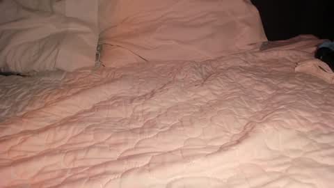 Sophy online show from 01/26/25, 04:41