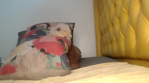 valdonte online show from 11/20/25, 02:12