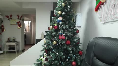 Snapshot of queen_zafiro88 chatting on 11/17/25, 12:33 Zafiro ILL BROADCAST UNTIL DECEMBER Onlyfans online show from 11/17/25, 12:33