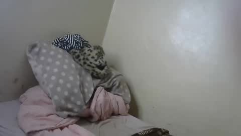 melly online show from 01/31/25, 11:13